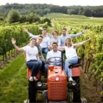 Weingut Stefan Oberschil